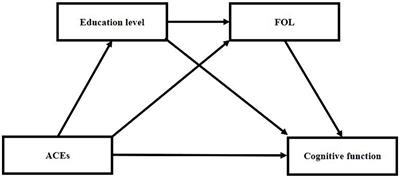 Adverse childhood experiences and cognitive function in later life: the sequential mediating roles of education level and adult loneliness